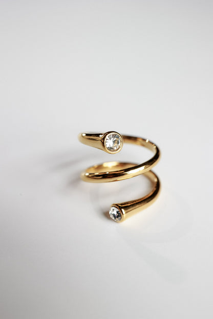 THE DIVINE RING