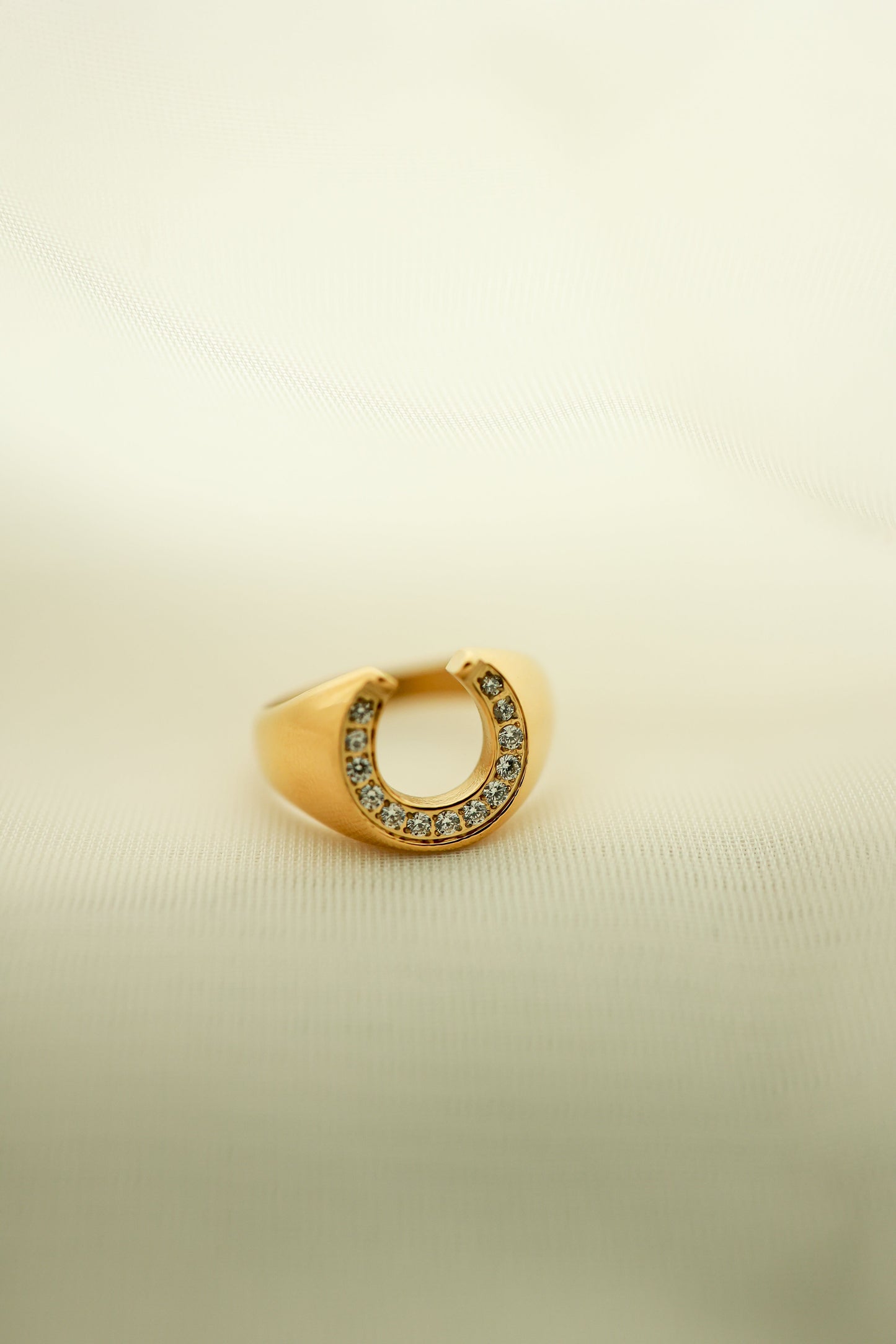 THE HORSESHOE RING