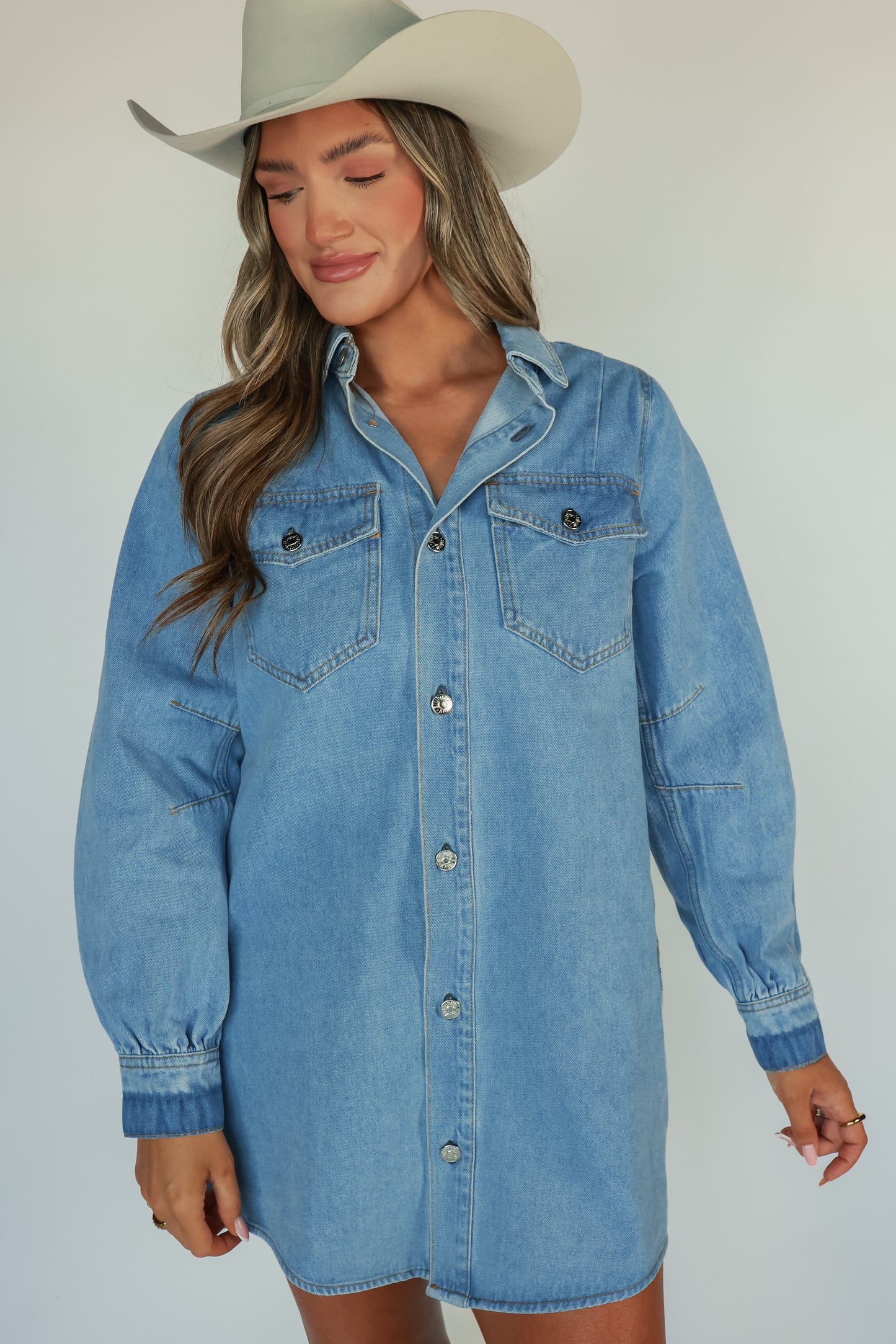 THE ALL AMERICAN DENIM DRESS