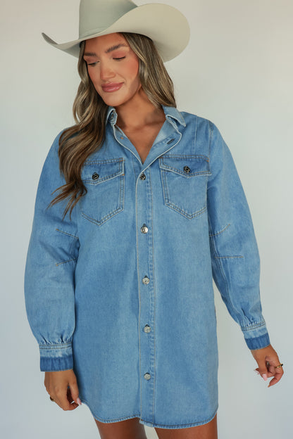 THE ALL AMERICAN DENIM DRESS