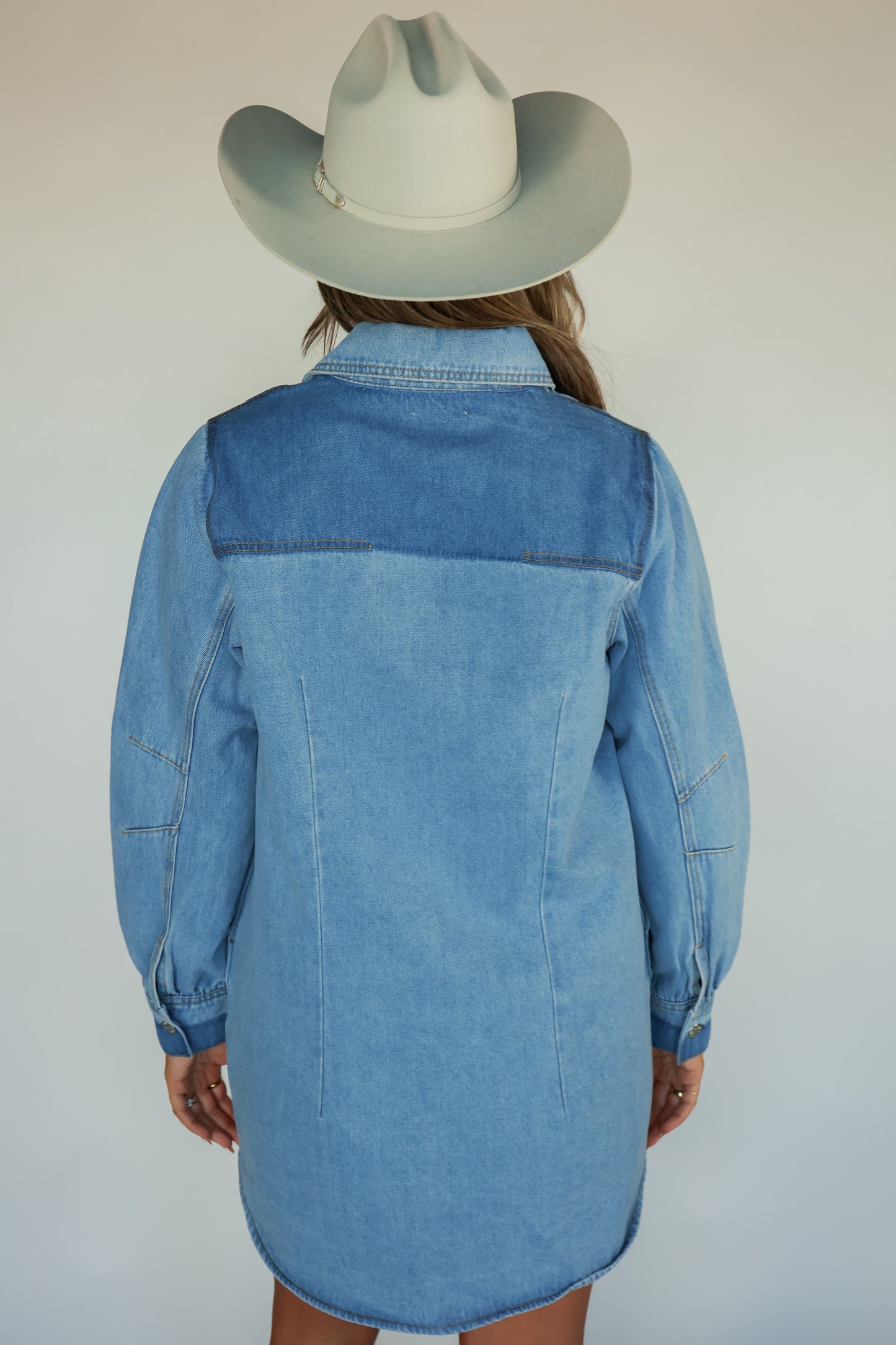 THE ALL AMERICAN DENIM DRESS