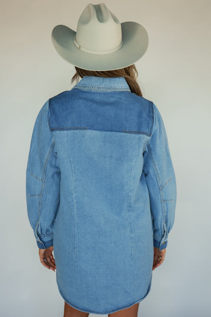 THE ALL AMERICAN DENIM DRESS