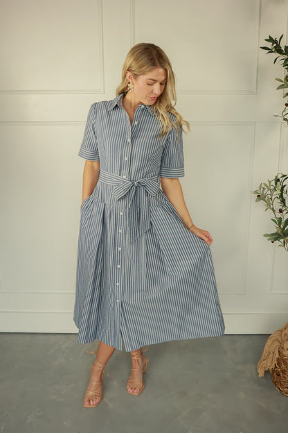 NAVY DAYDREAM STRIPE DRESS