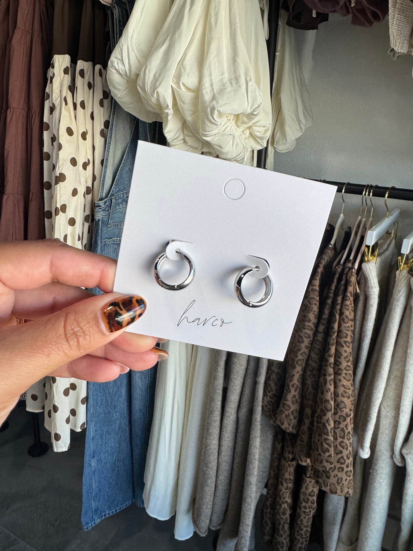 THE DAILY HOOP IN SILVER